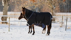 Så ska täcket sitta och så mäter du - undvik skav och felköp