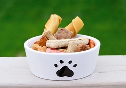 Kan mijn hond gaatjes in zijn kiezen krijgen?