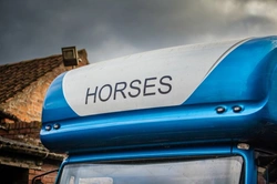 Best Ways to Travel Your Horse: UK Guide 2025