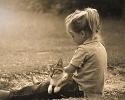 5 razze di gatti adatti ai bambini