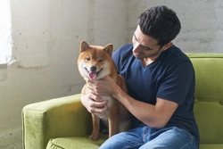 Why never leaving your dog alone is as bad as leaving them too long