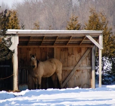 ¿Caballo en el campo o caballo estabulado? Acondicionamiento de la cuadra