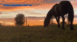 När det är dags att säga hejdå