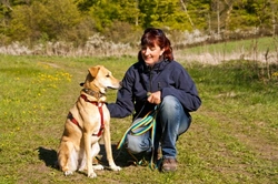 Walking the Dog: 3 Common Challenges and How to Handle Them