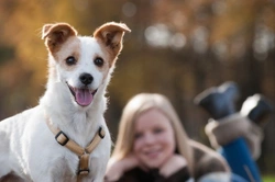 Why Does Your Dog Growl at Your Children? Causes & Solutions