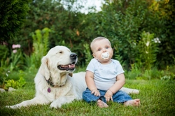 Babies and Dog Allergies: Symptoms, Diagnosis & Solutions