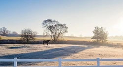Ta hand om hagen i vinter