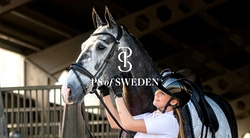 Maximera din hästs välbefinnande; fördelarna med anatomiska träns för bästa prestanda och komfort