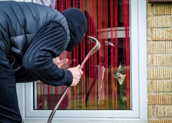 How can dog breeders reduce the risk of litter theft from home?