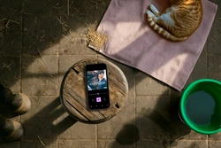 5 stallmoment du inte visste var perfekta för en ljudbok