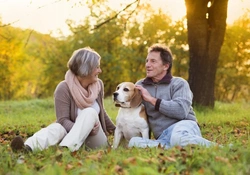 7 Great Places to Meet Other Dog Lovers in the UK