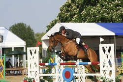 Royal Windsor Horse Show 2025: Ultimate Guide & Highlights