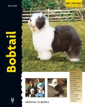 Old English Sheepdog Dogs Ras: Karakter, Levensduur & Prijs | Puppyplaats