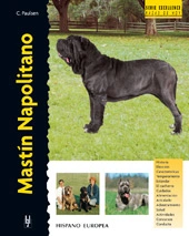 Mastino Napoletano Dogs Ras: Karakter, Levensduur & Prijs | Puppyplaats