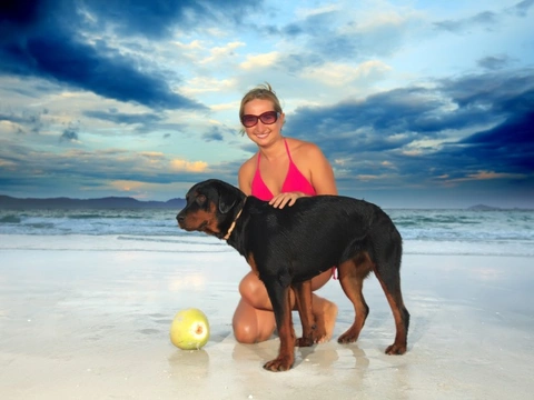 Is coconut oil a canine superfood or just hype?
