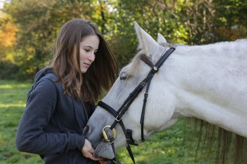 Aflatoxin Poisoning in Horses: Causes, Symptoms, Treatment & Prevention