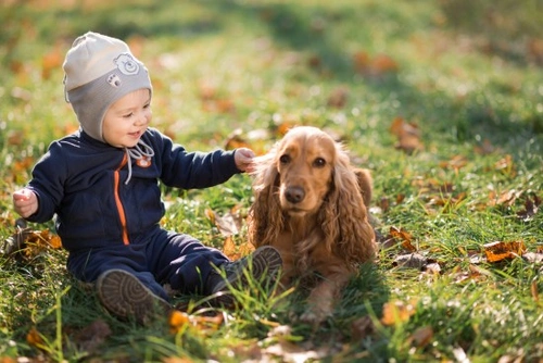 Keeping your children safe around your dog: 7 essential tips