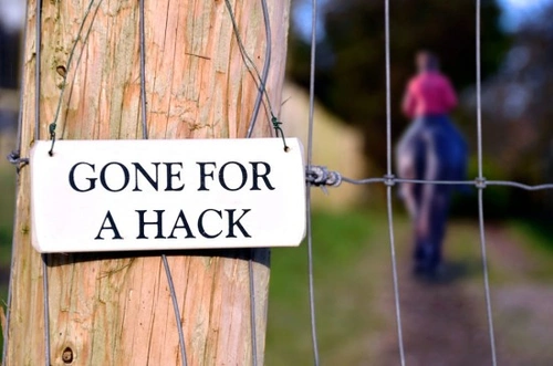 Essential Equipment to Take on a Horse Hack Safely