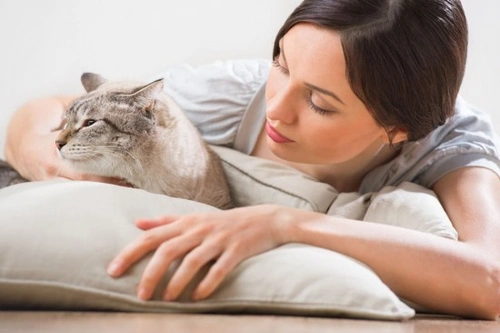 Strange Cat Behaviour After Moving Home – What to Expect