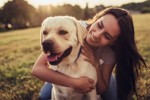 Vitamin B12 Deficiency in Dogs: Causes, Symptoms & Treatment