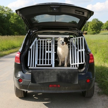 8 Essential UK Travel Tips for Dogs