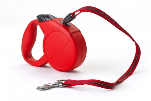 Dogs and retractable leads: How to use them safely and correctly