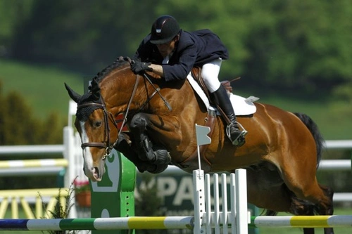 Equestrian Sports and Disciplines: A Comprehensive Guide