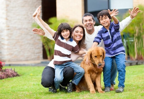 Rehoming Your Pet: A Responsible Guide for UK Owners