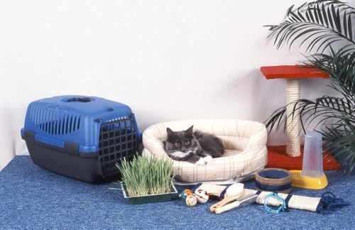 Optimal Cat Food, Water, Bed & Litter Tray Locations
