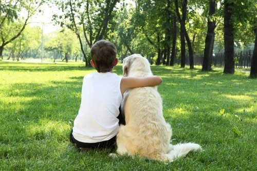 20 Essential Tips for Staying Safe Around Dogs