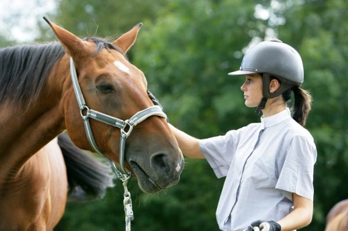How Horses Teach Owners Lessons with Gentle Revenge