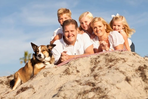 Señales de que tu familia está lista para adoptar o comprar un perro