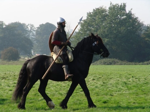 Carried into Battle: The History of Horses and War