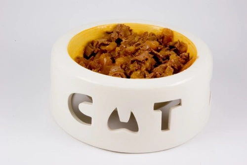 Feeding Cats Right: A Closer Look at Their Diet Needs