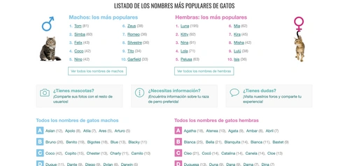 200+ Nombres de Gatos