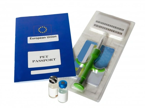 Additional Vaccinations Your Dog Needs for Mainland Europe Travel