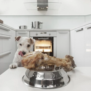 Eight Top Tips for Feeding Your Dog a Nutritionally Complete Diet