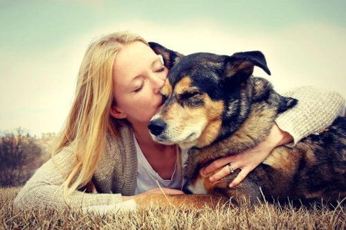 Understanding Euthanasia: A Compassionate Guide