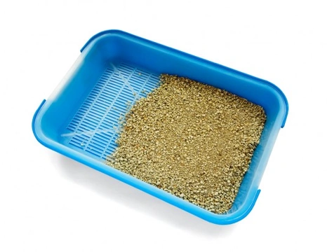 Complete Guide to Choosing the Right Cat Litter