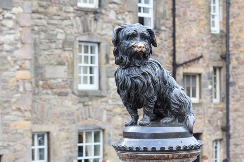 Help Document Britain’s Animal Monuments