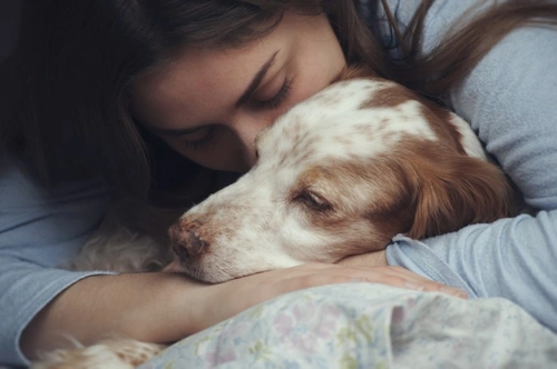 8 Ways to Improve Life for Your Blind Dog Safely