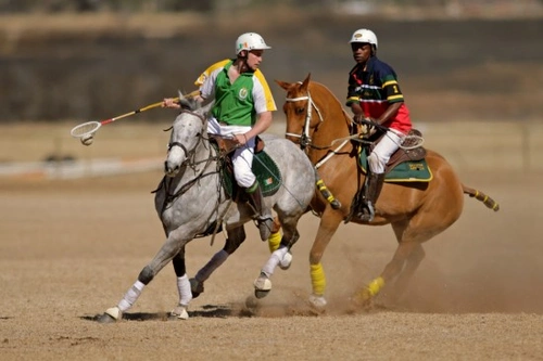 10 Unusual Equestrian Sports to Discover in 2025