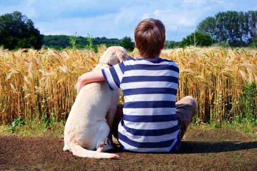 Bonding with Your Dog: Top Tips and Common Mistakes