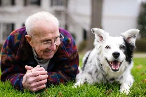 Chaser: Border Collie que comprende más de 1000 palabras
