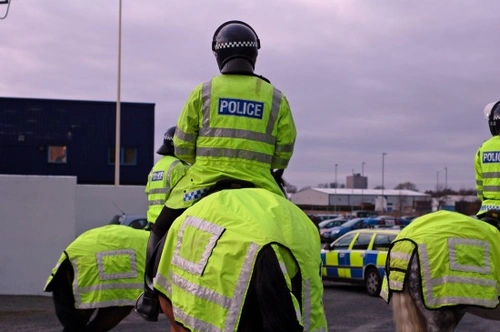 A Career With the Mounted Police: Step Into Equestrian Policing
