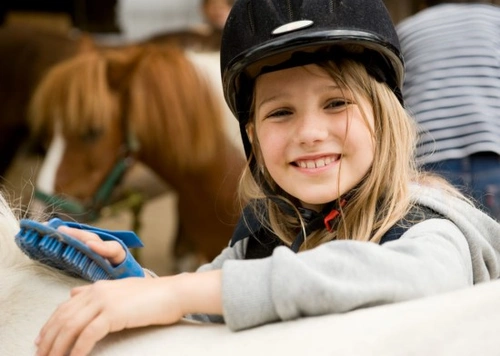 Complete Guide to Grooming Your Pony