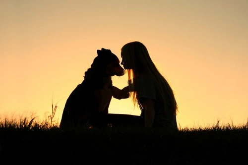 Why Dogs Hate Going for Walks in the Dark: Causes & Solutions