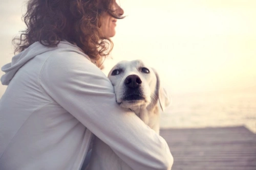 Avoid Getting a Dog Immediately After a Breakup