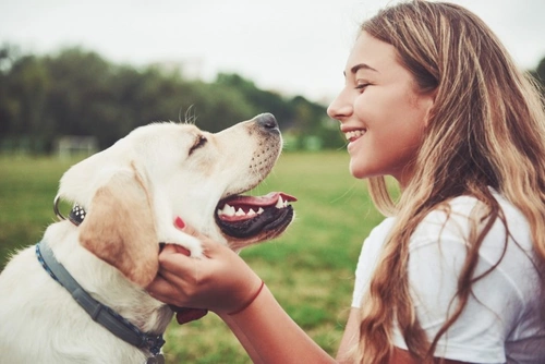 What Your Dog’s Gums Should Look Like & Signs of Problems