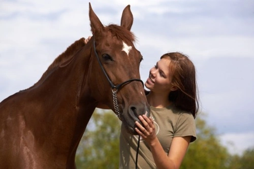 What to Avoid When Buying a Horse: Essential Tips